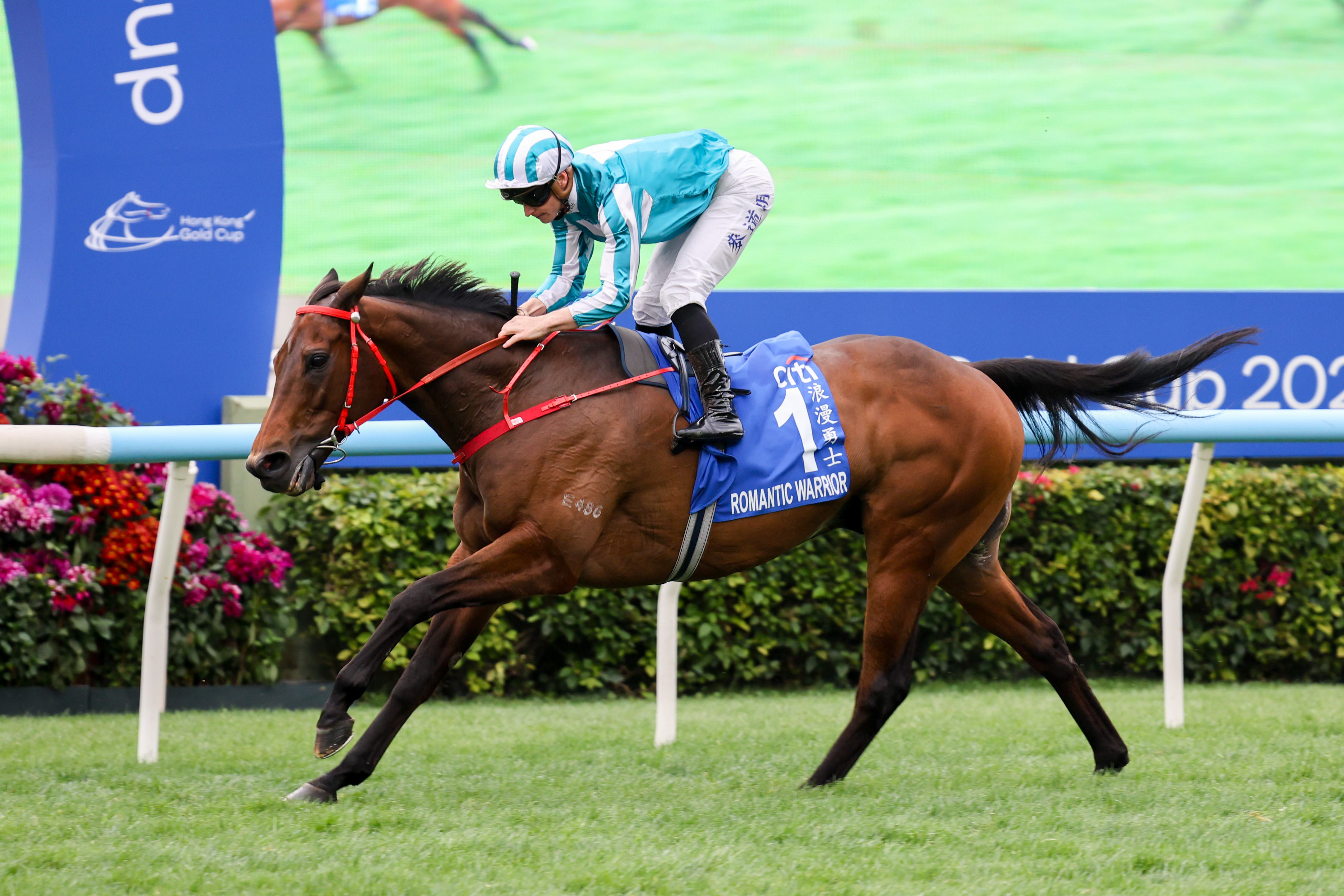 「浪漫勇士」今年揚威總獎金一千三百萬港元的花旗銀行香港金盃（2000米一級賽）