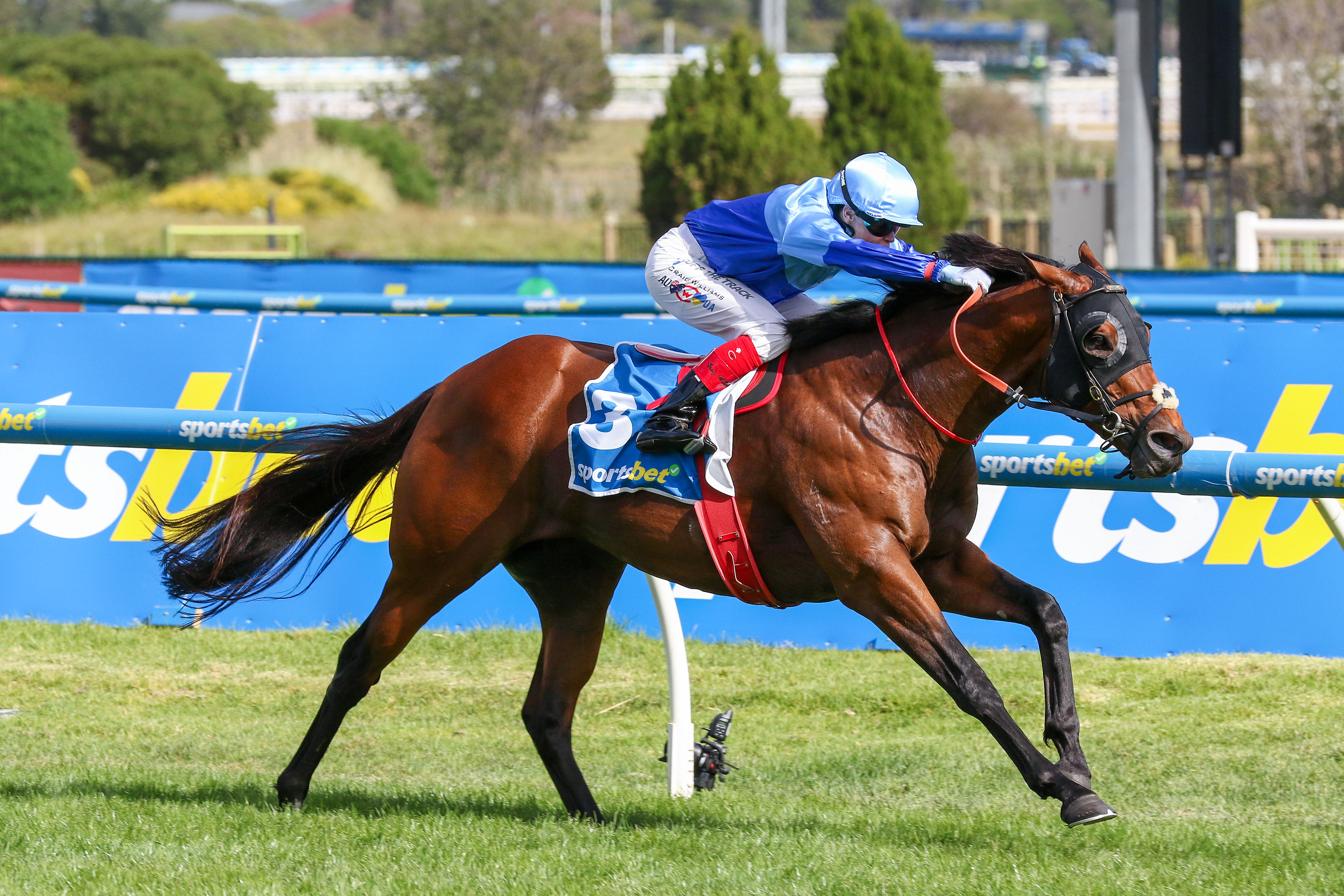 「赤道帶」於2月在考菲爾德勝出渥利盾（1100米一級賽）