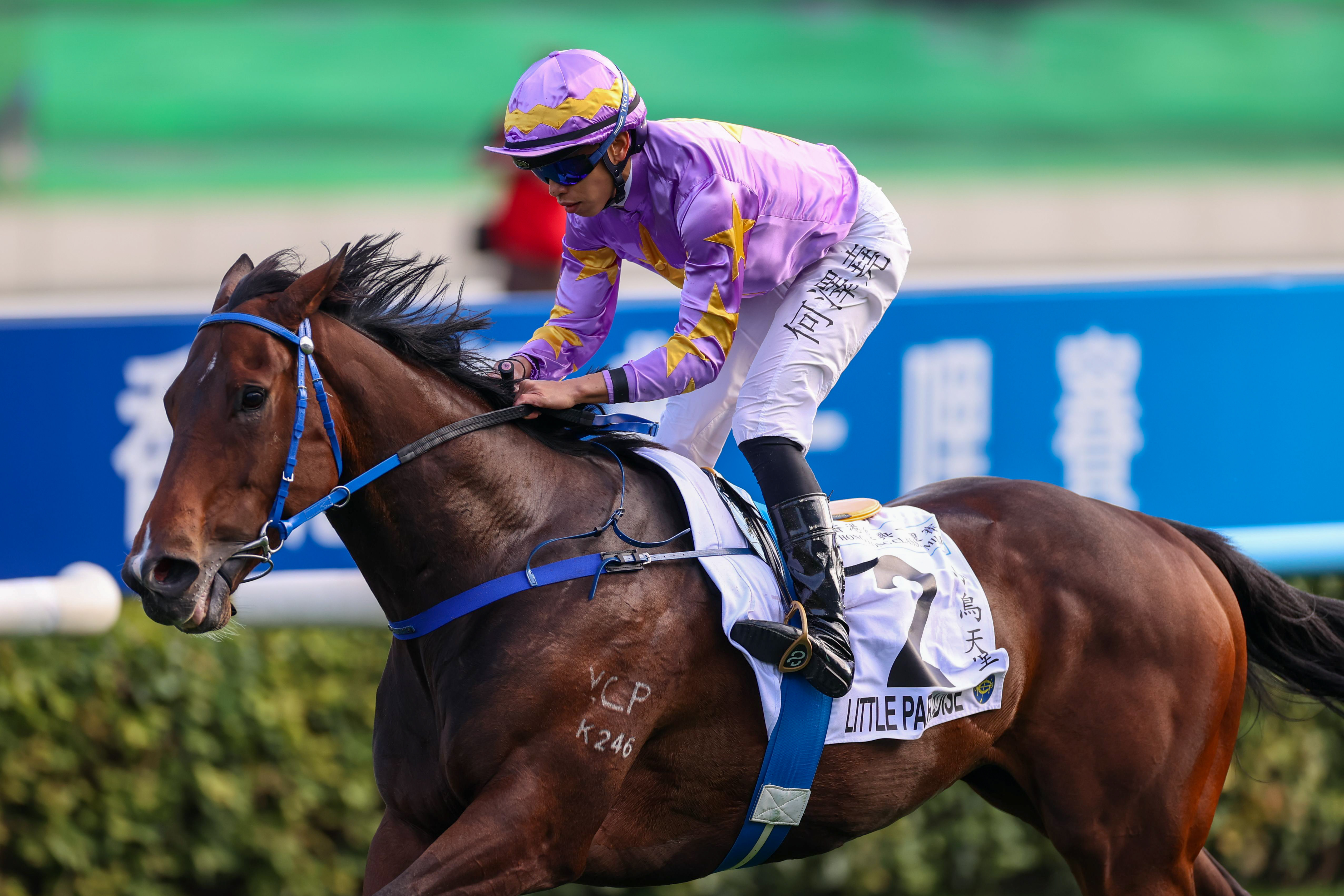 「小鳥天堂」在港十戰六勝