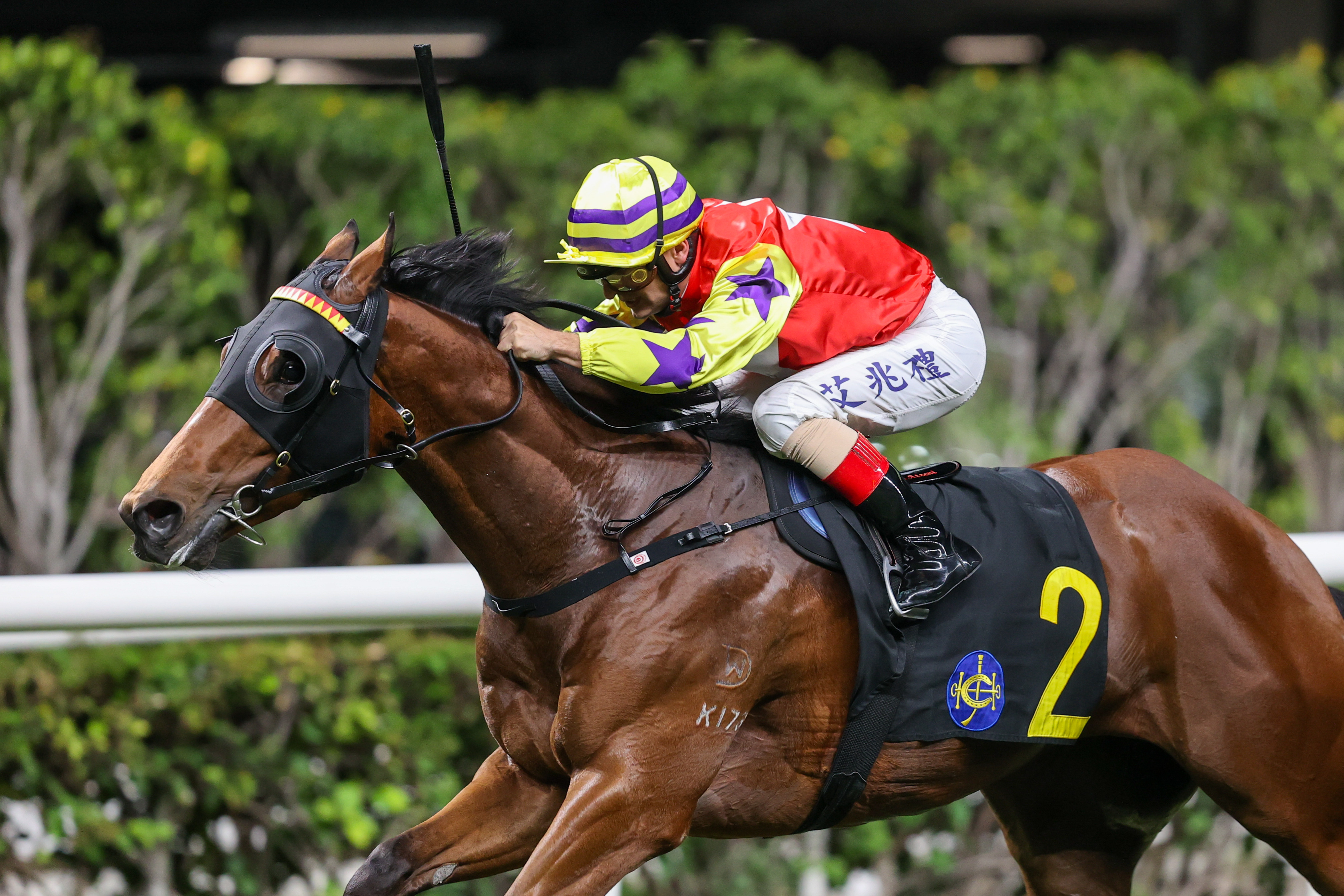 艾兆禮上季夥拍「翠紅」取得頭馬