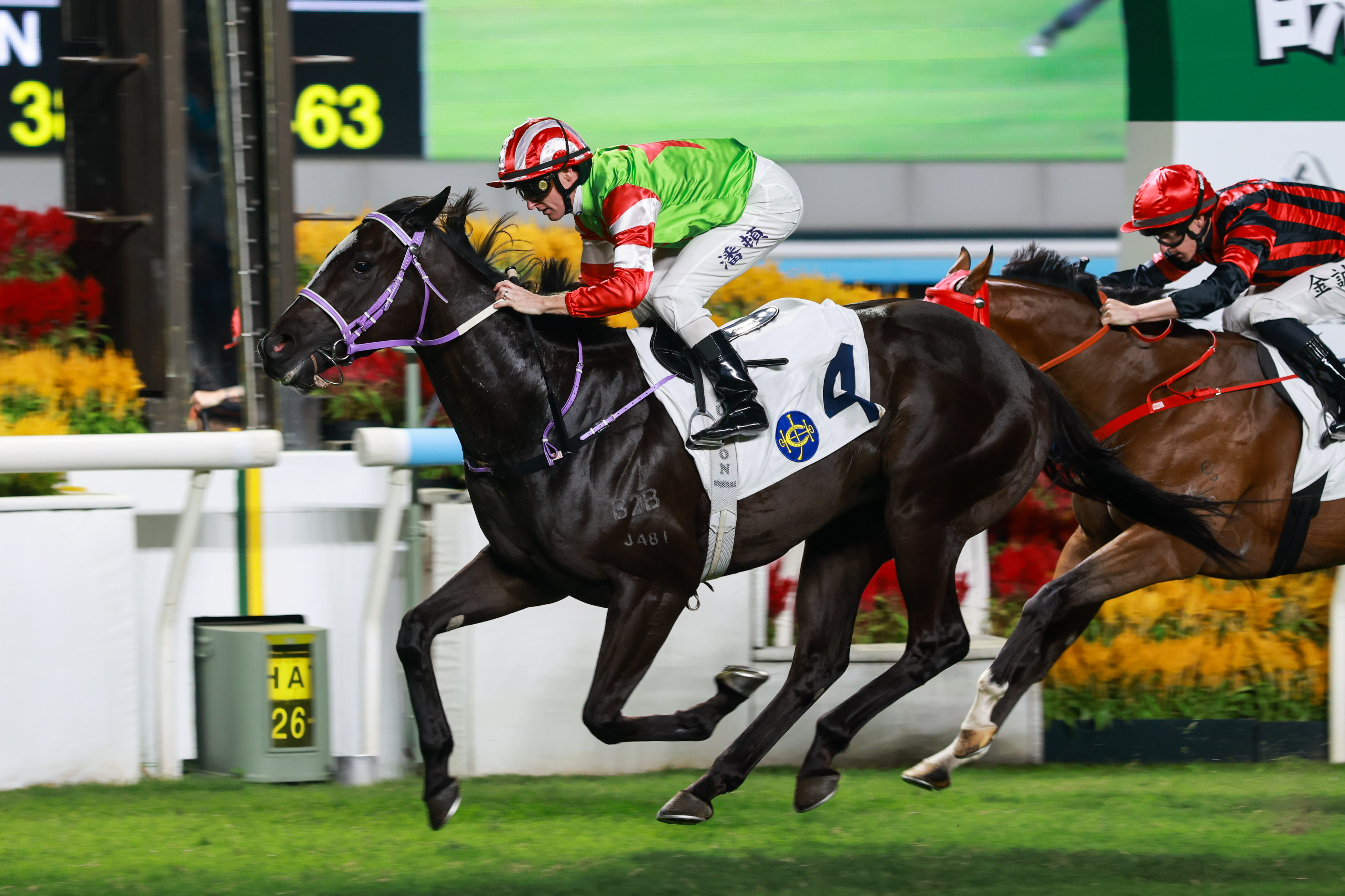 「喜尊龍」去年10月在沙田報捷