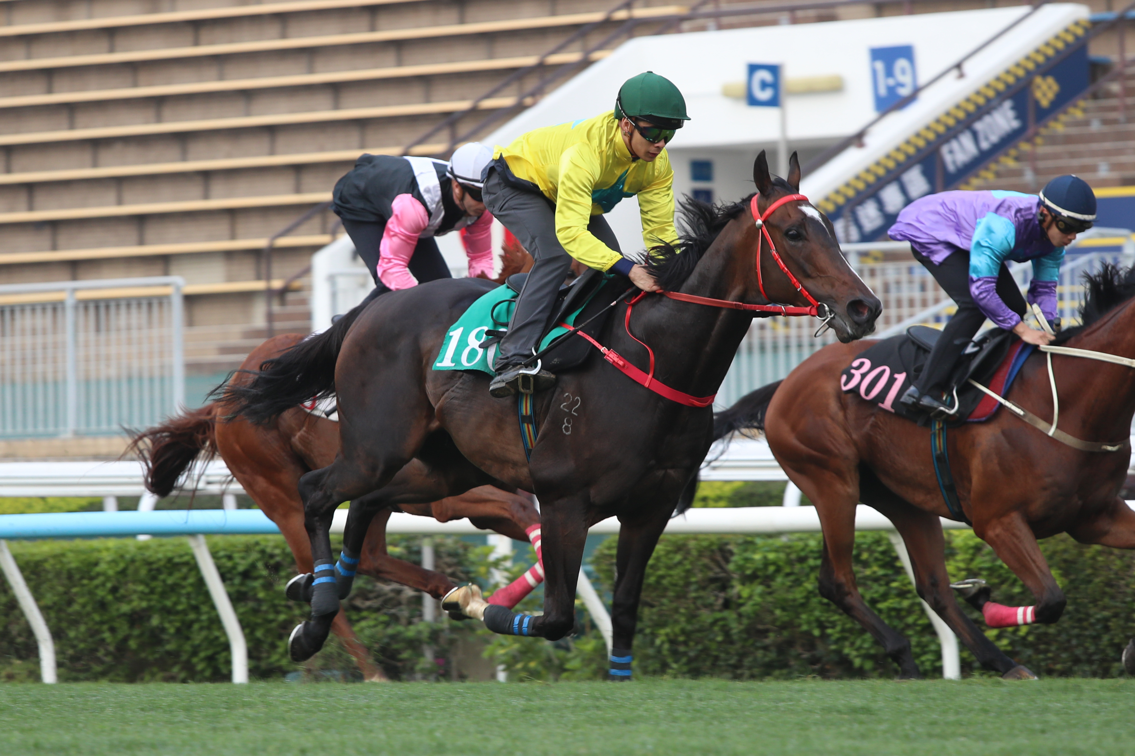 梁家俊策騎「金鑽貴人」在沙田試閘