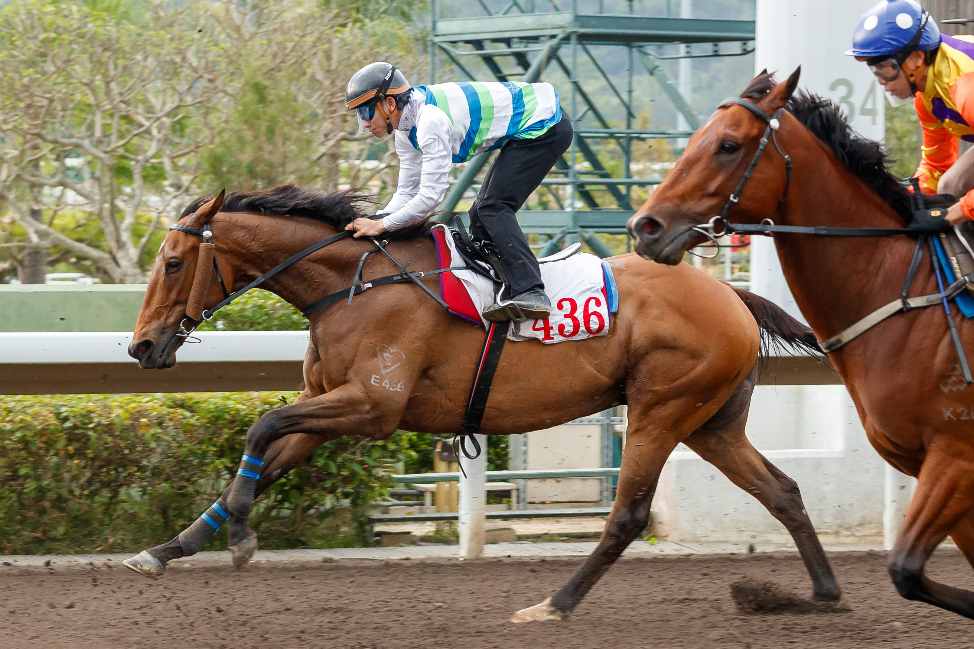 「遨遊氣泡」在周俊樂胯下出試