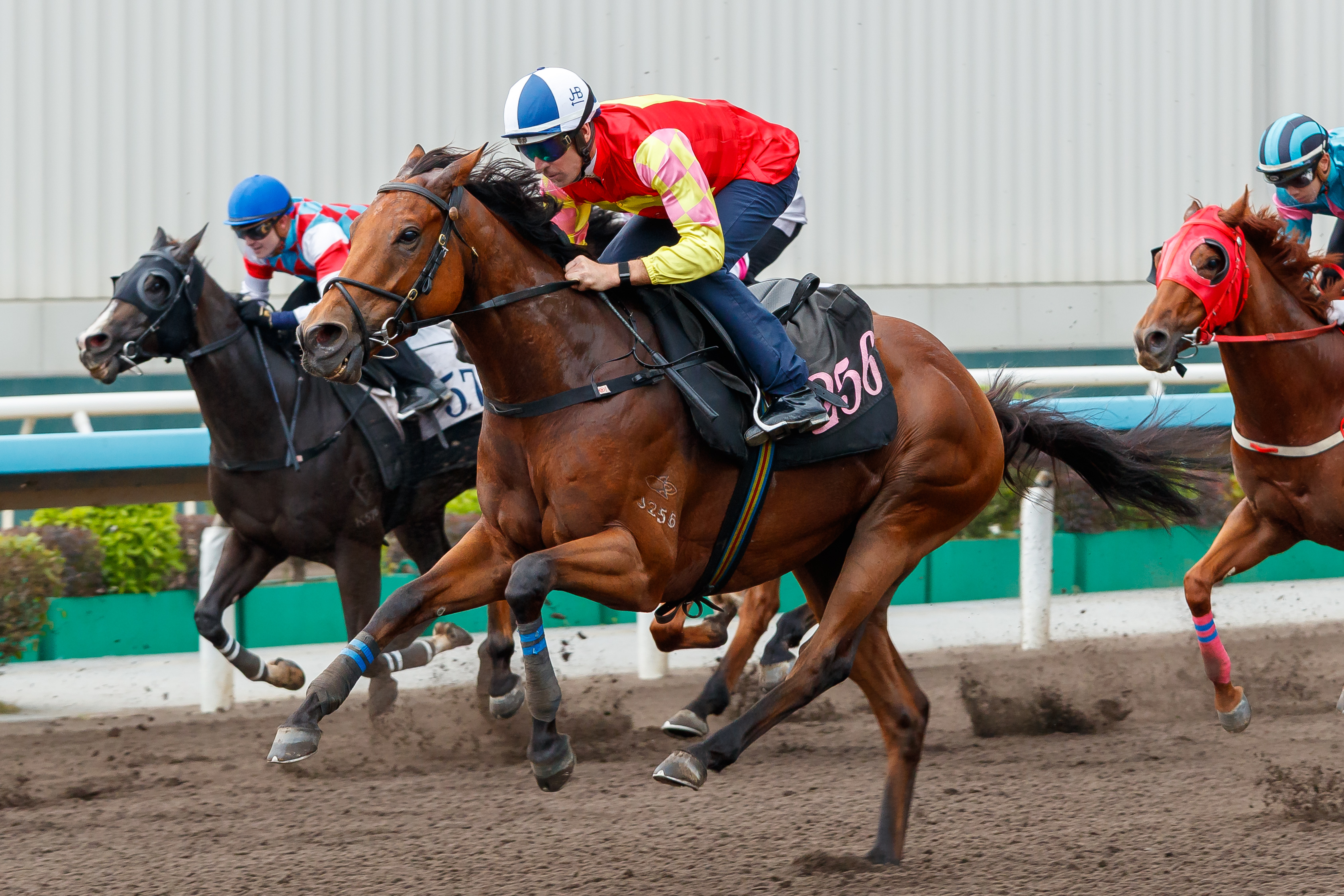 「祝願」在布文胯下於末段衝刺