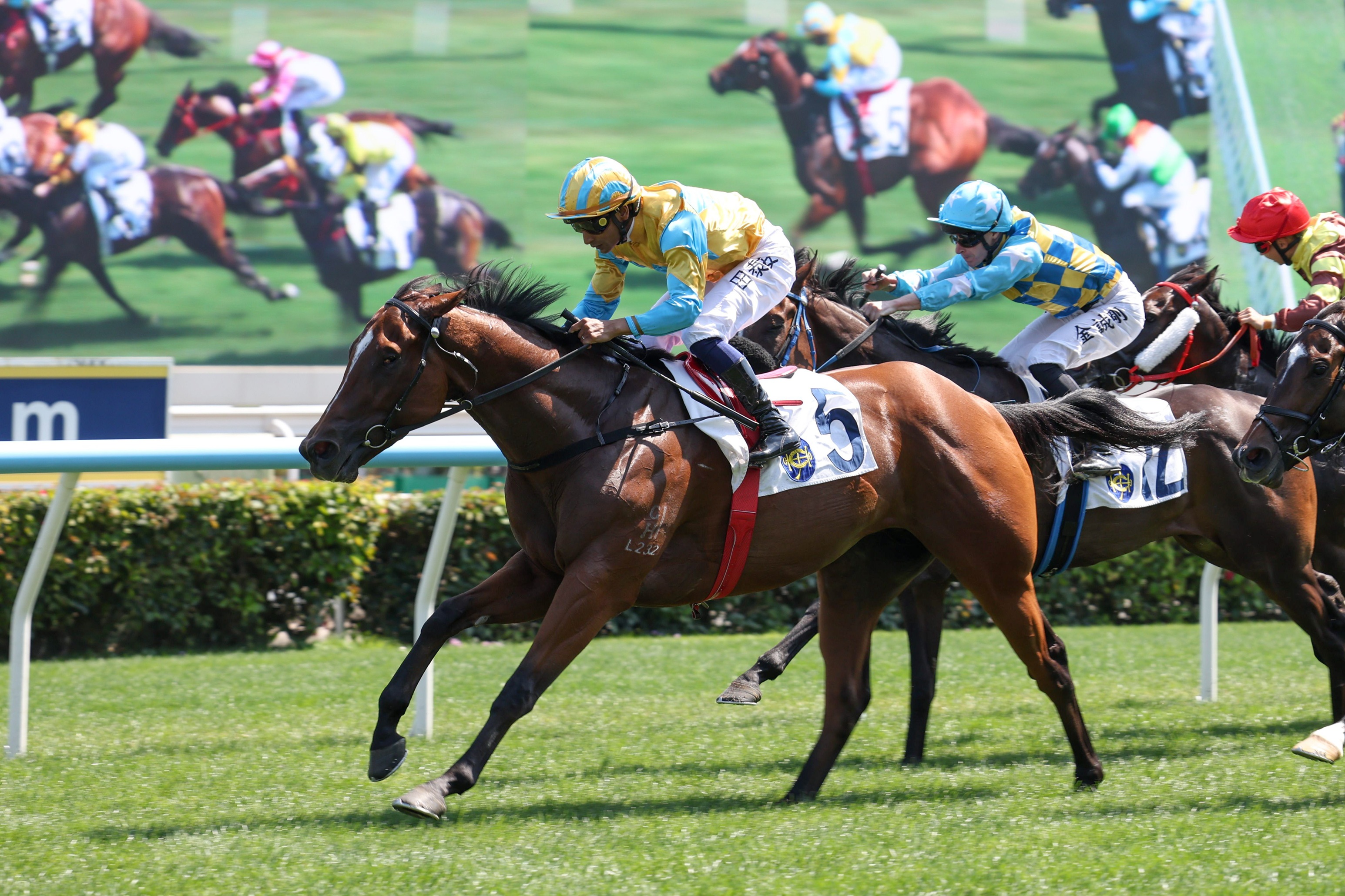 「堅先生」在港一出即勝