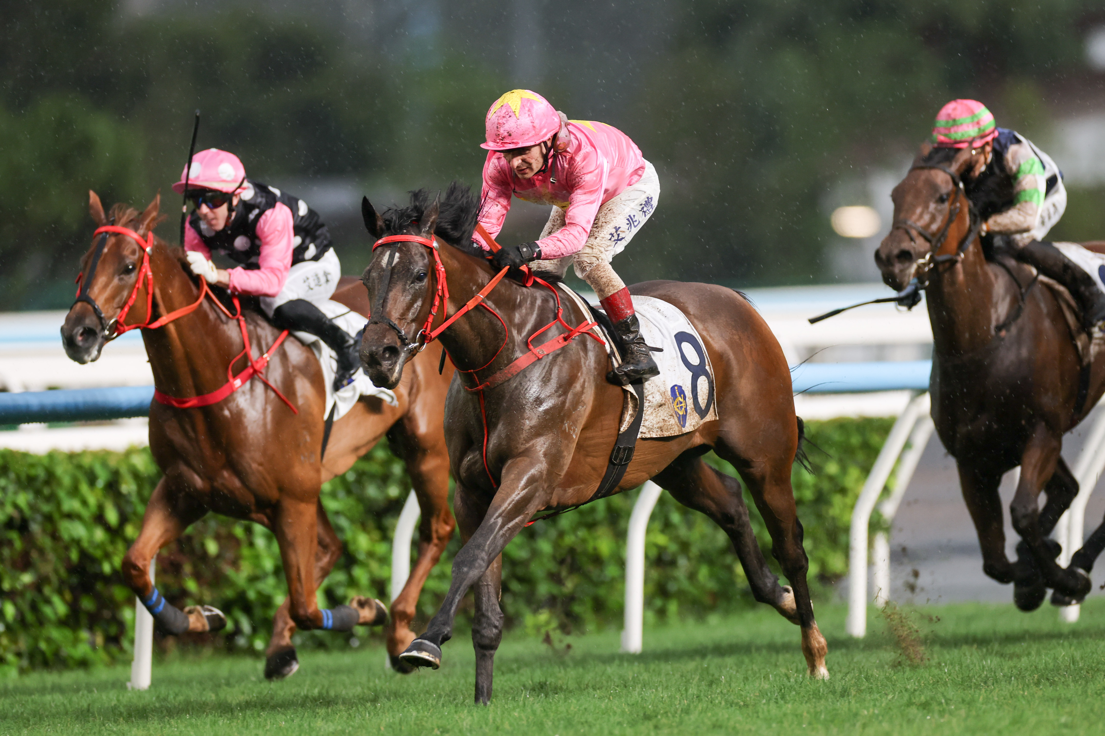 「首飾天空」今日獲勝後，將其賽績改寫至七戰五勝