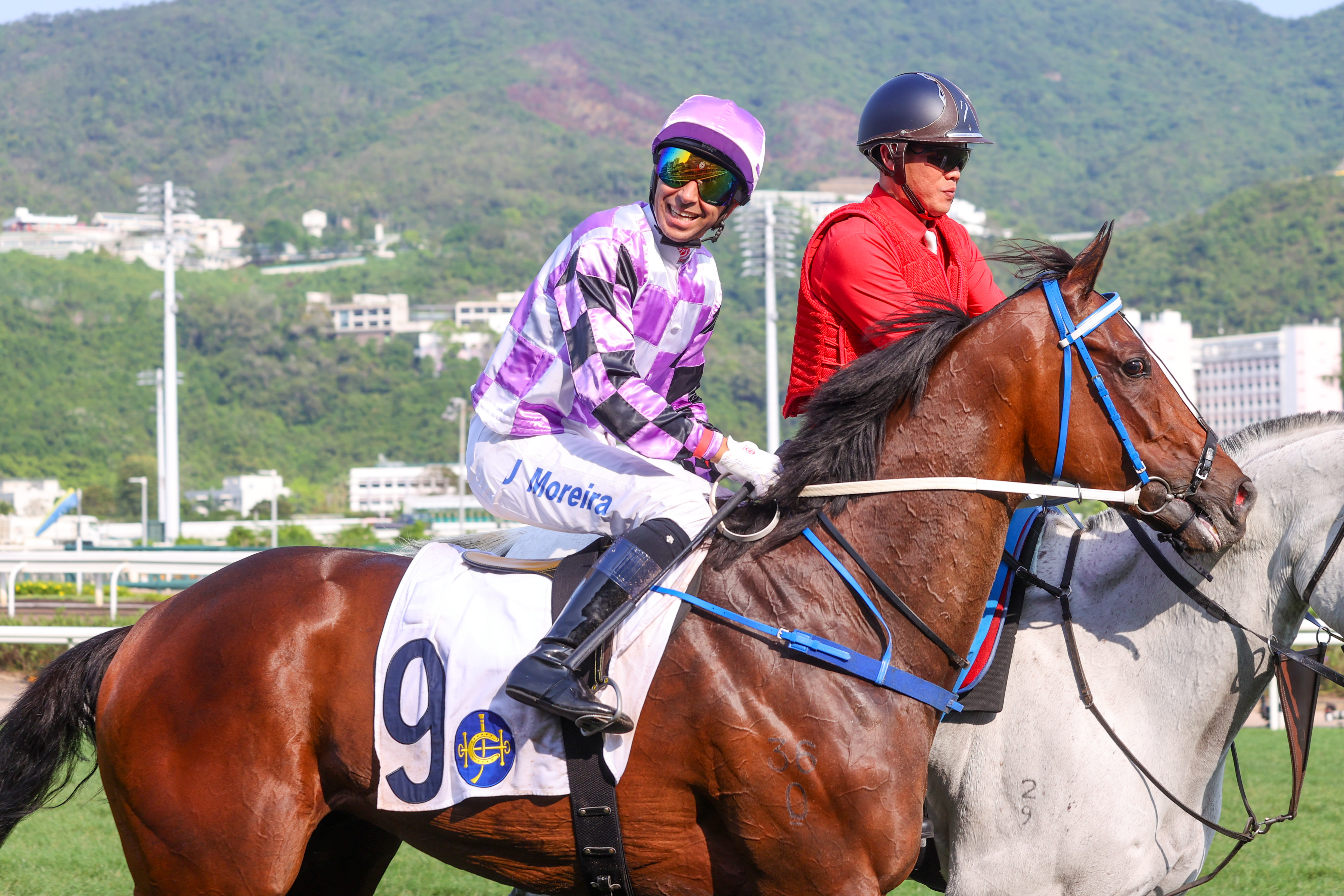 莫雷拉自重返香港擔任方嘉柏馬房主帥後已取得八場頭馬