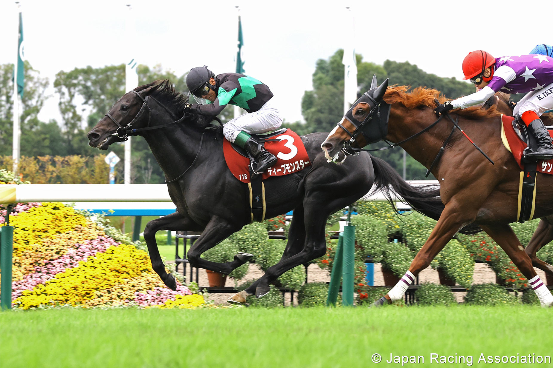 「大怪奇」出道至今二十八戰七勝