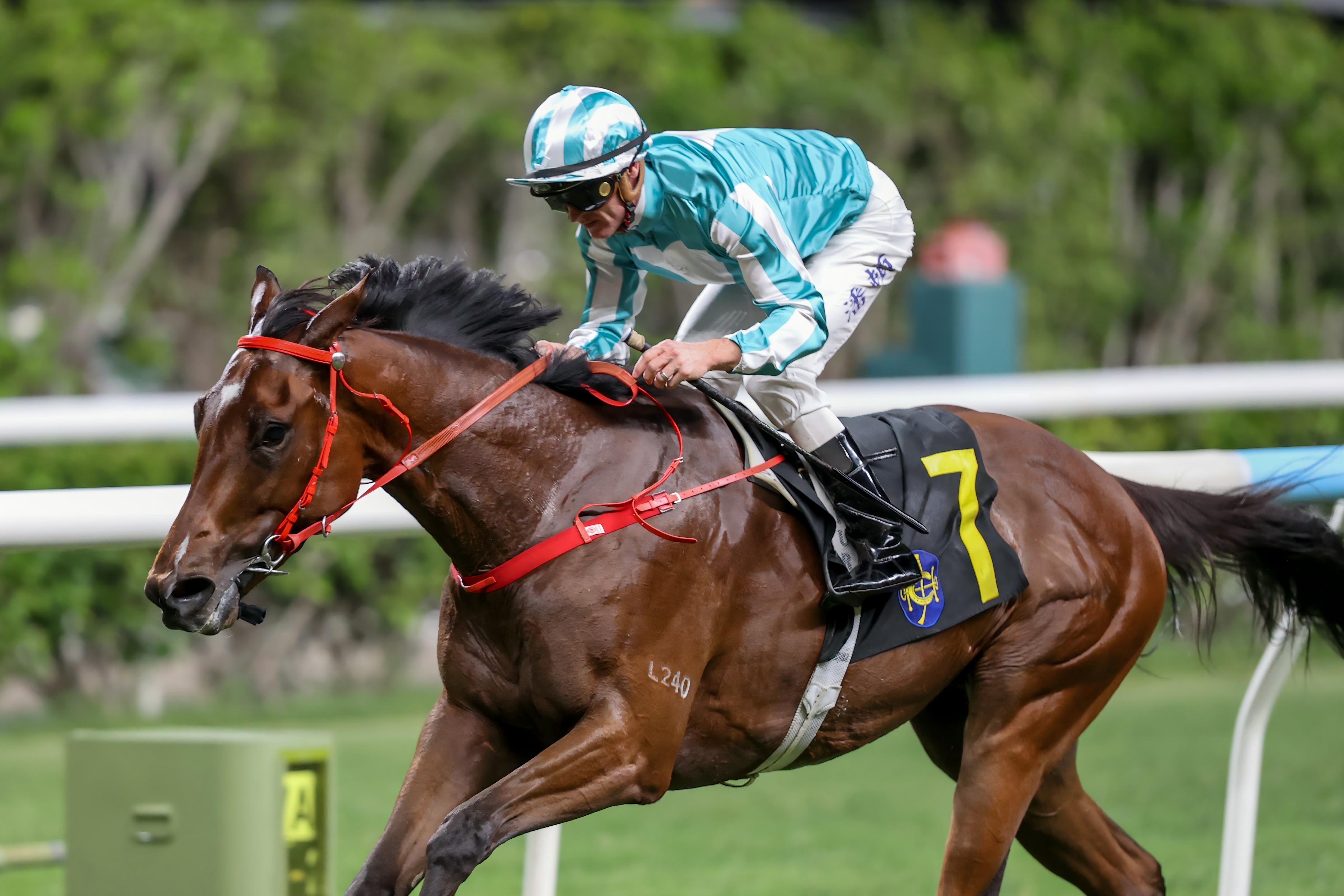 沈集成大演帽子戲法，進佔練馬師榜首位。
