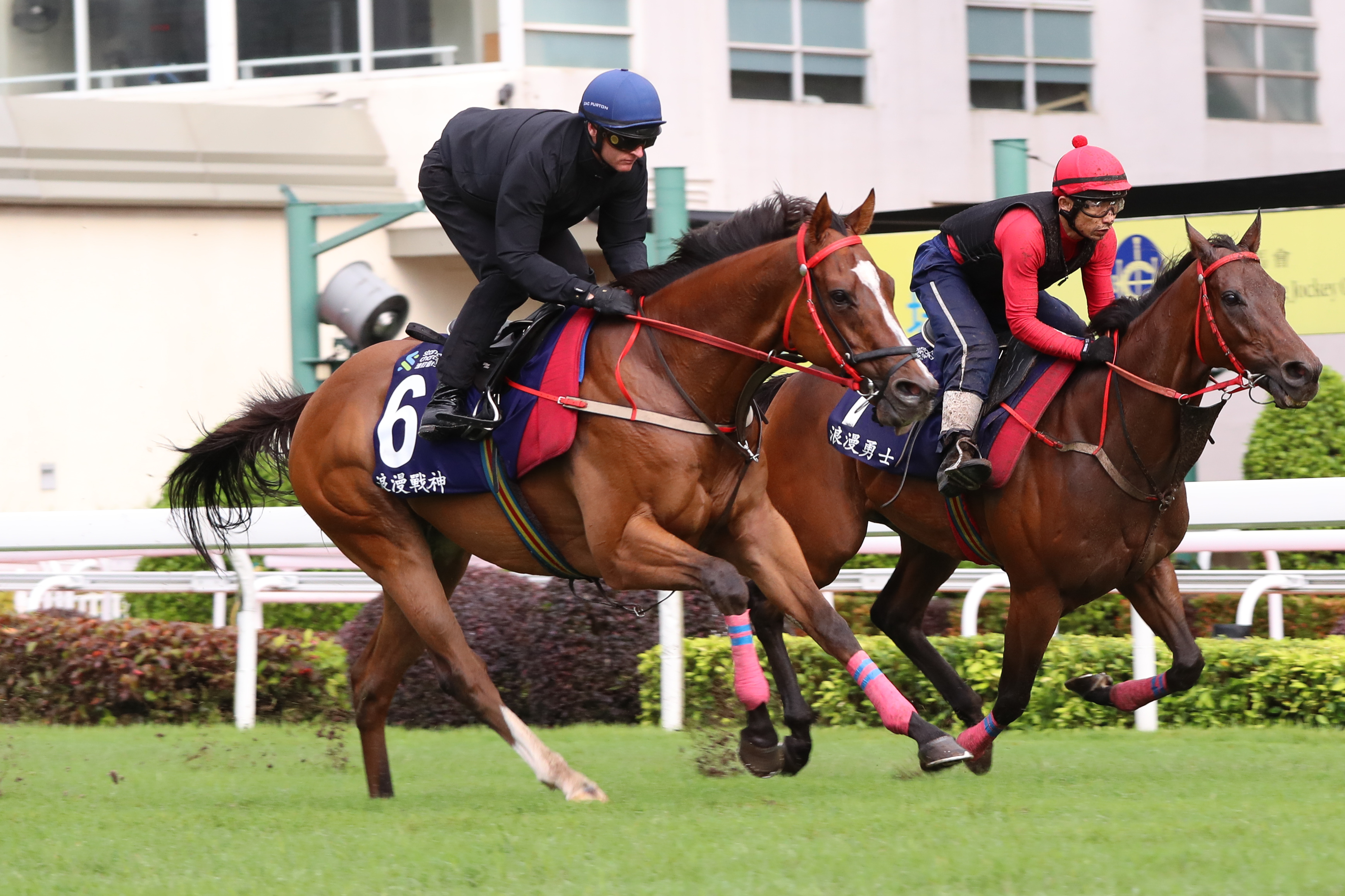潘頓對「浪漫戰神」（左）週日在沙田角逐渣打冠軍暨遮打盃的勝望持審慎樂觀態度