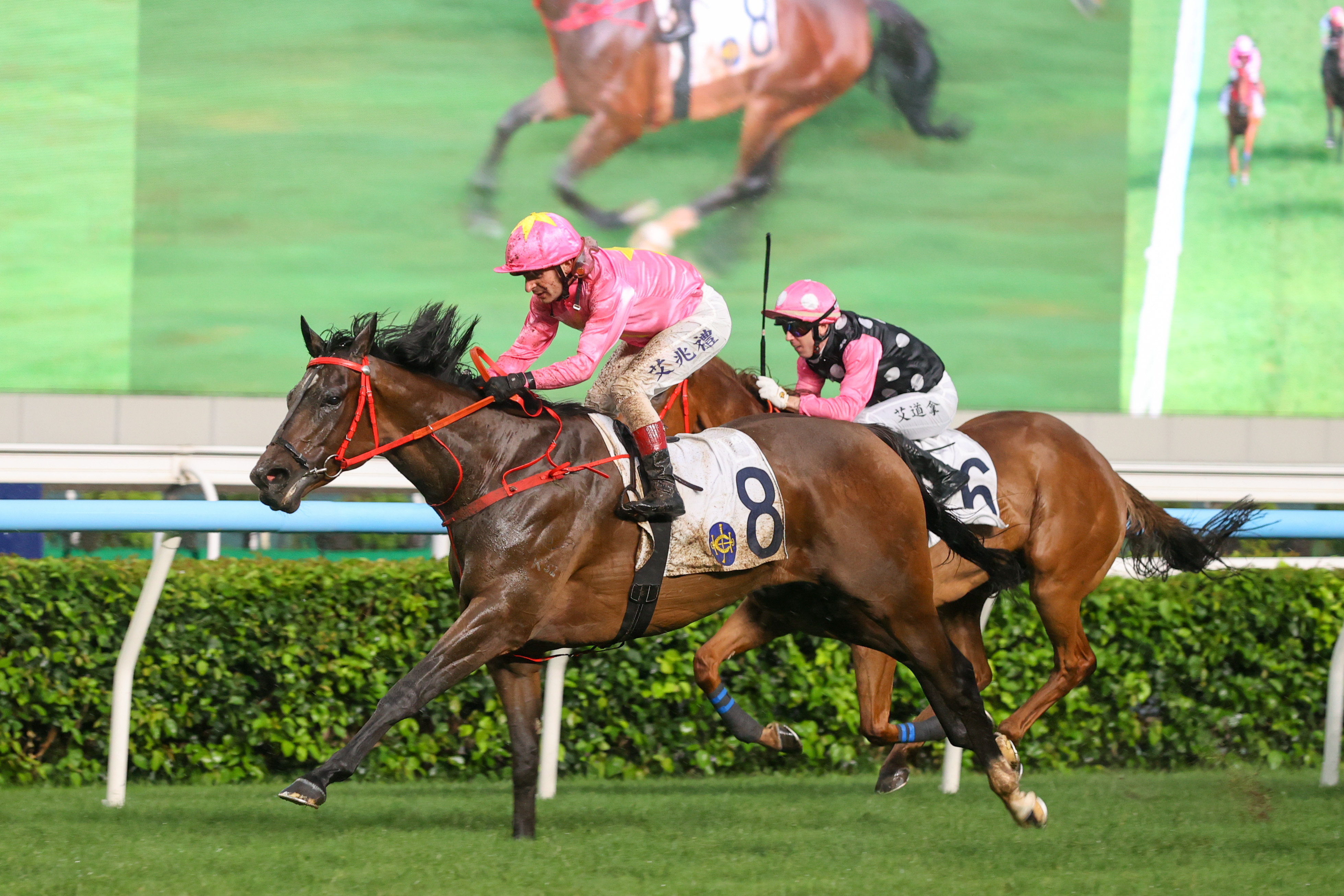 「首飾天空」對上兩仗取得連捷後,週日將首次挑戰分級賽,角逐三級賽獅子山錦標(1600米讓賽) 「首飾天空」對上兩仗取得連捷後,週日將首次挑戰分級賽,角逐三級賽獅子山錦標(1600米讓賽)