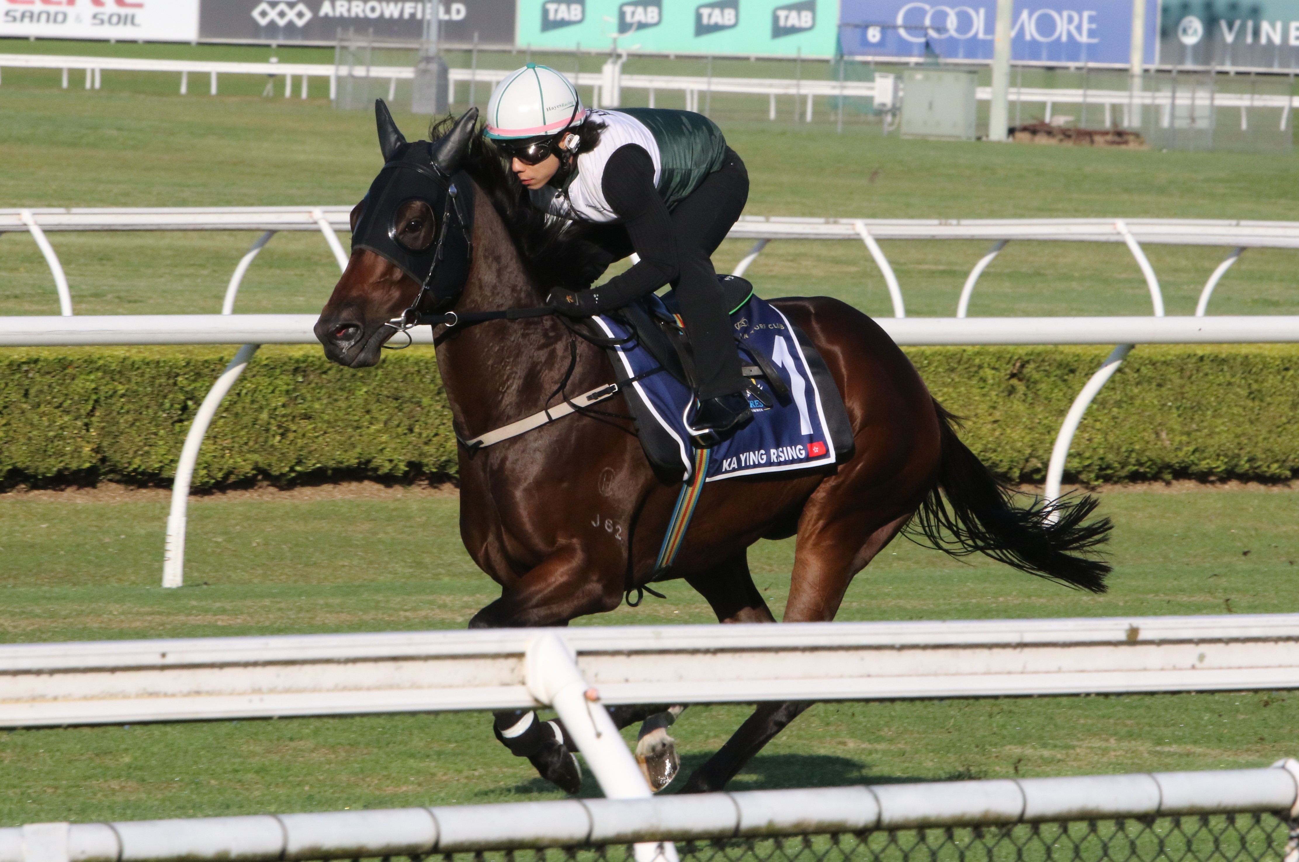「嘉應高昇」在悉尼肯德百里馬場出操