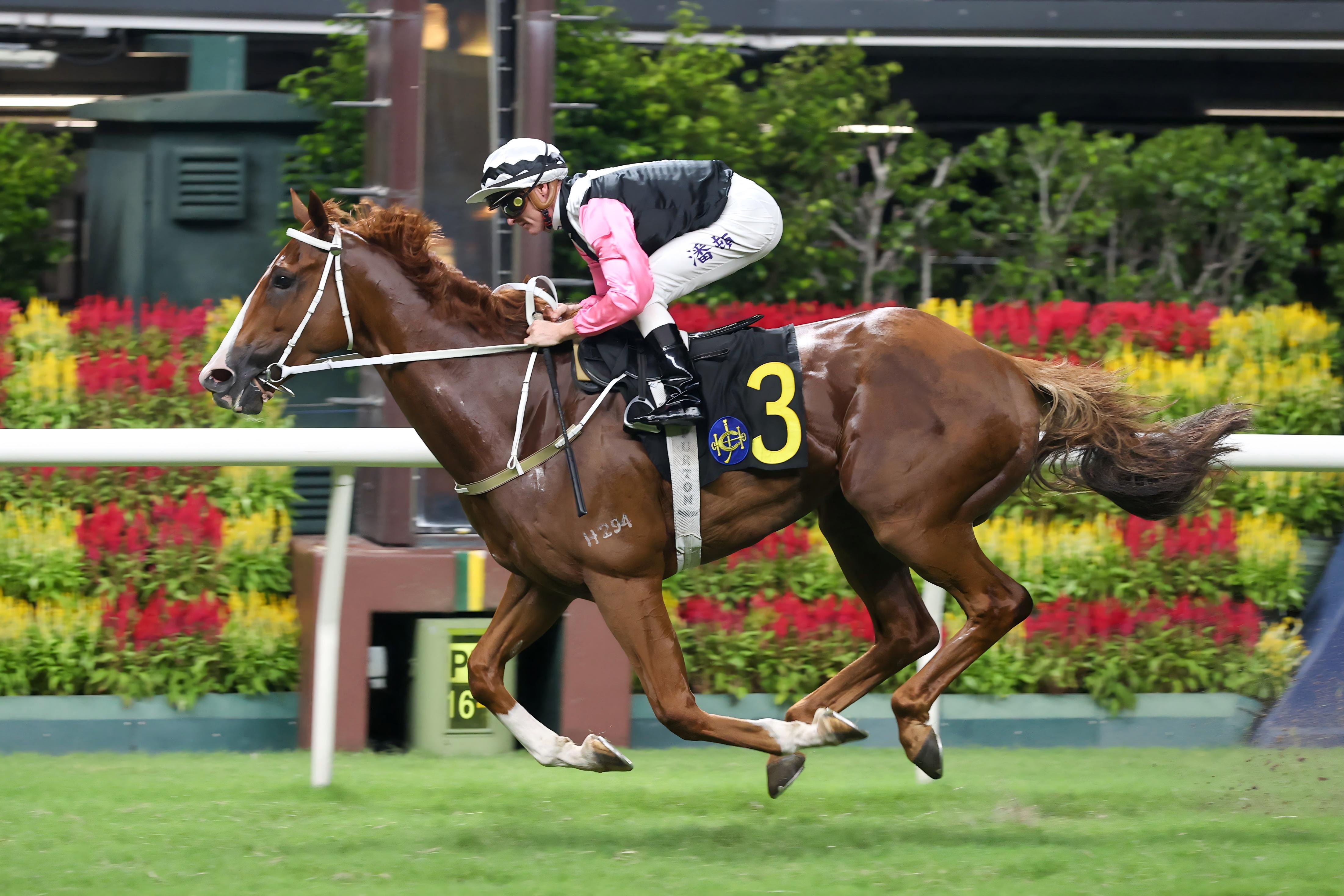 「美麗第一」迄今在港取得七勝。