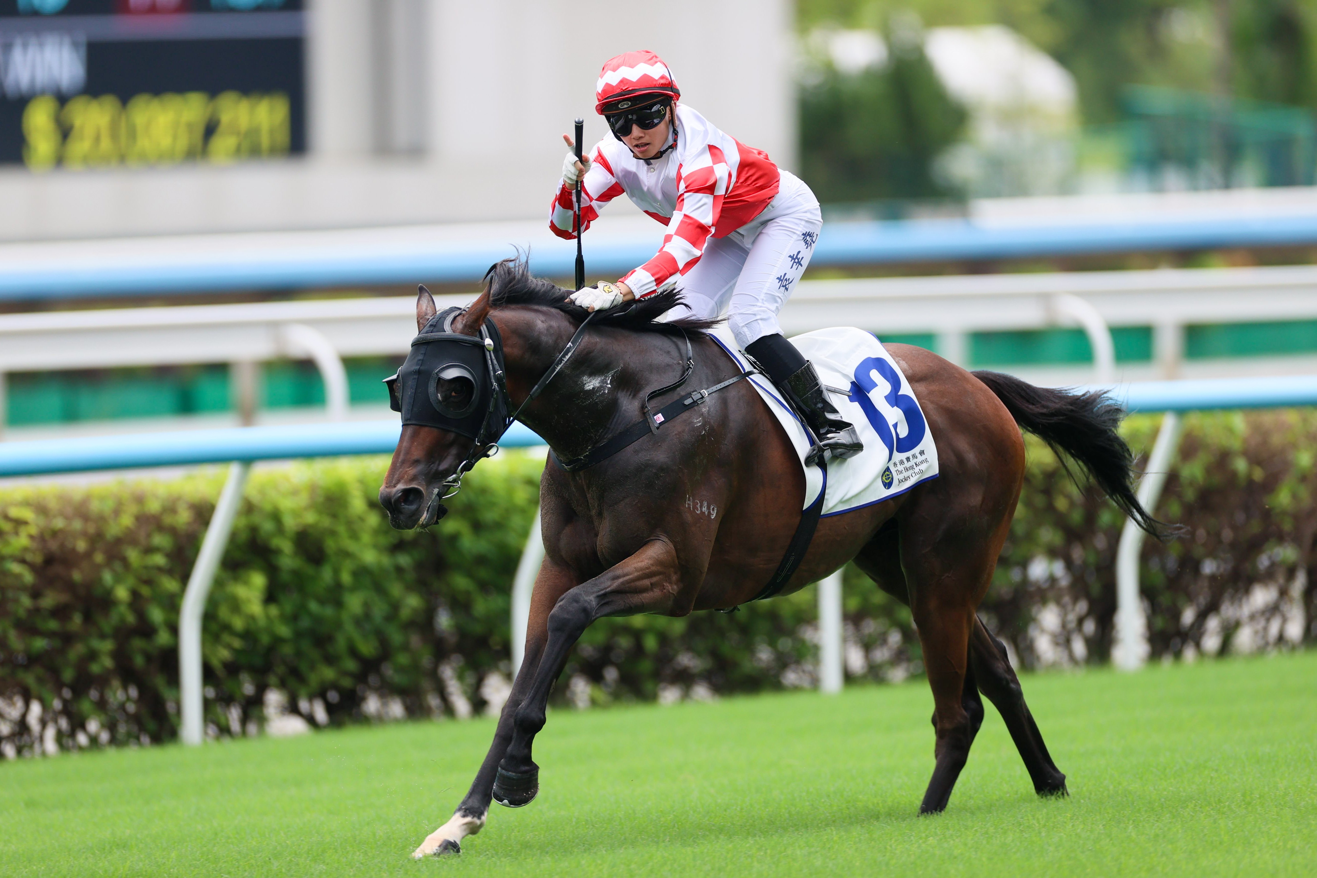 袁幸堯上週日（9月6日）在沙田取得今季首場頭馬。