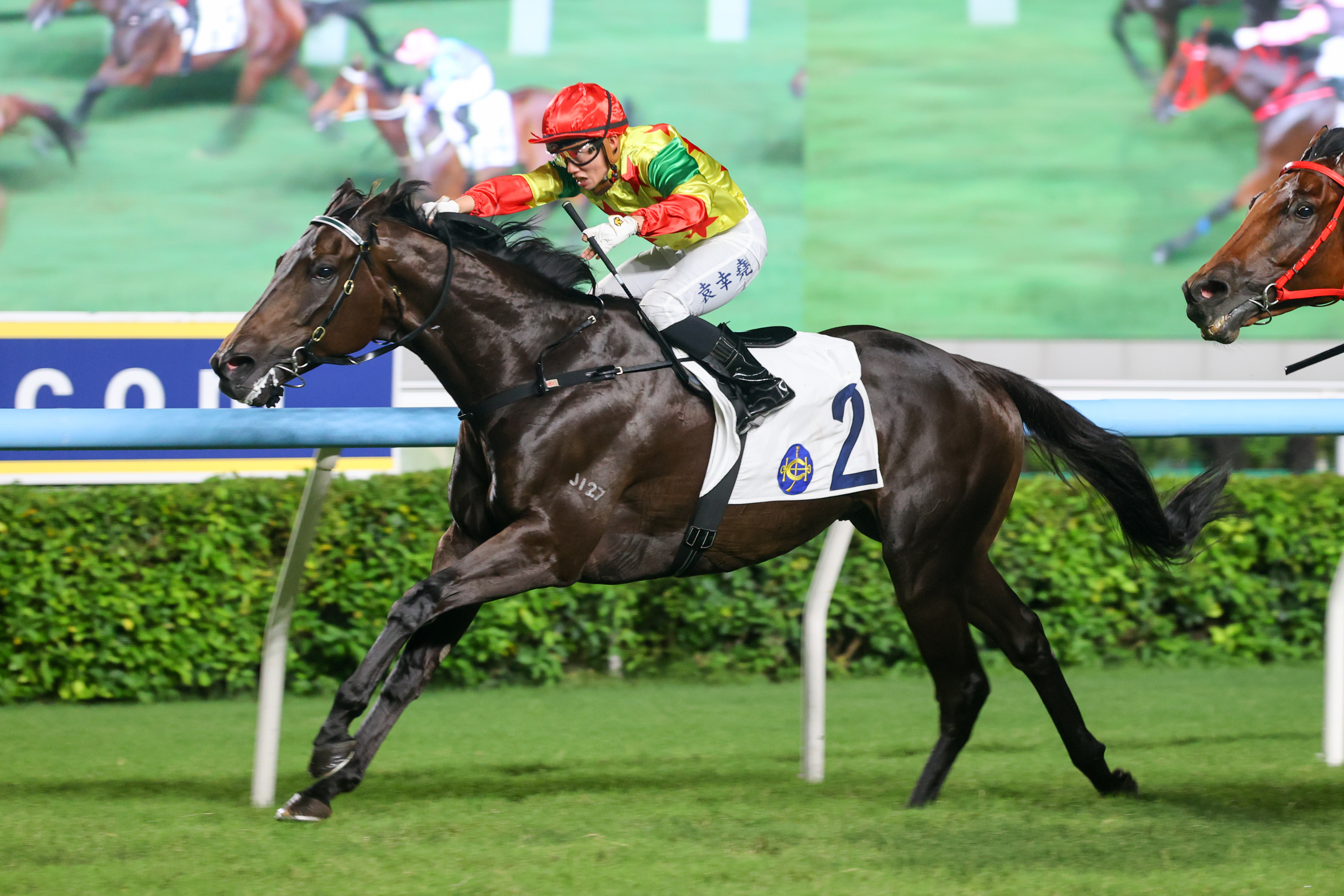 「太陽勇士」週日將角逐三級賽慶典盃(1400米讓賽),首度問鼎分級賽殊榮 「太陽勇士」週日將角逐三級賽慶典盃(1400米讓賽),首度問鼎分級賽殊榮