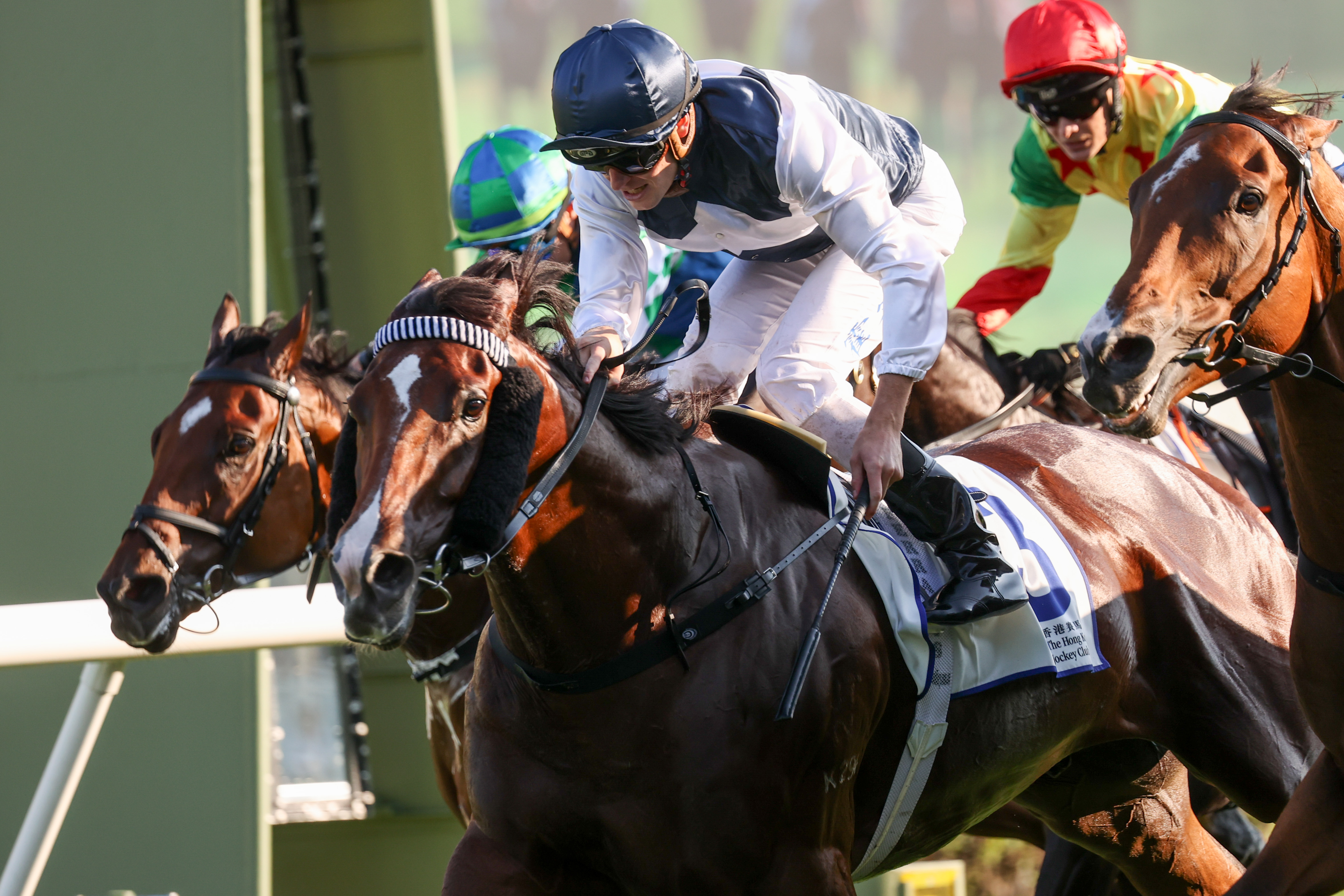 「白鷺金剛」本年度馬季一出即勝,揚威三級賽慶典盃讓賽(1400米) 「白鷺金剛」本年度馬季一出即勝,揚威三級賽慶典盃讓賽(1400米)