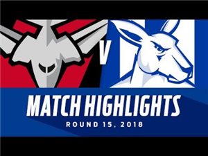 Essendon v North Melbourne Highlights