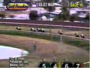 Horse Racing Oddity: Jockey Misjudges Distance