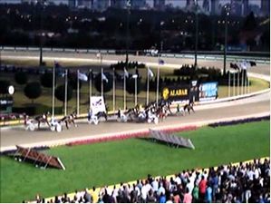2010 Victoria Derby Harness Race At Moonee Valley