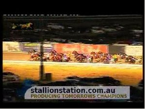 The Last Harness Race At Moonee Valley