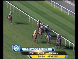 Singapore Airlines International Cup Contenders 2011: Calvados Blues