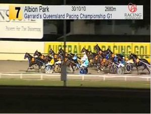 2011 Queensland  Harness Horse Of The Year