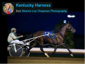 Kentucky Harness